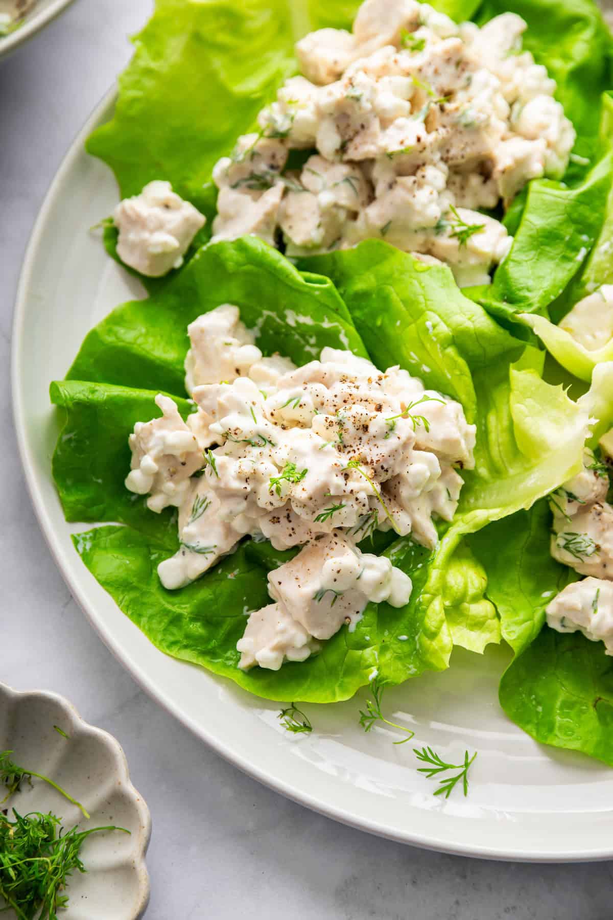 This creamy cottage cheese chicken salad is packed with protein and ready in just 5 minutes. Perfect for sandwiches and wraps! Cottage cheese chicken salad served on lettuce leaves.
